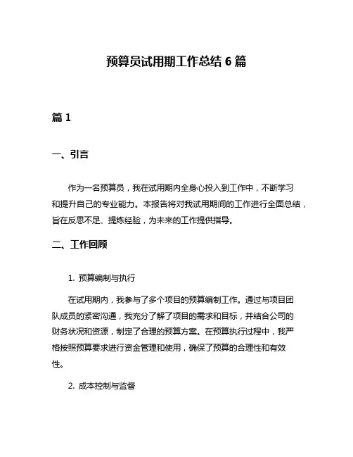 预算员试用期工作总结6篇
