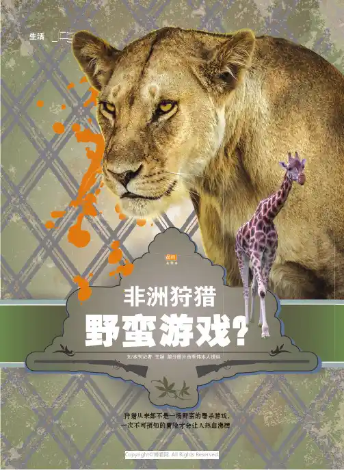 非洲狩猎野蛮游戏？