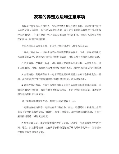 灰霉的养殖方法和注意事项