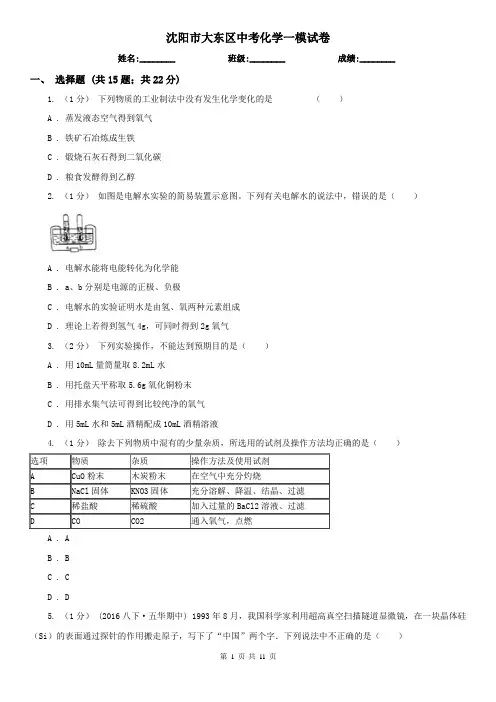 沈阳市大东区中考化学一模试卷