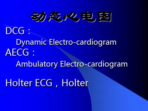 --动态心电图 (Holter ECG)