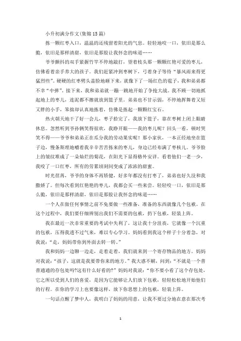 小升初满分作文(集锦15篇)(精品范文)