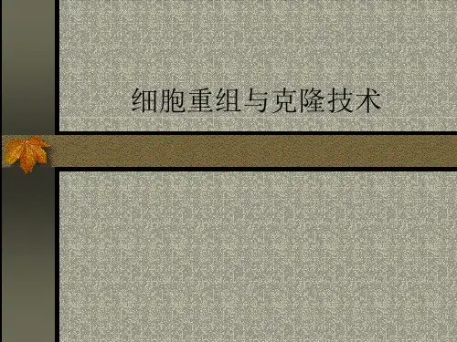细胞重组与克隆技术