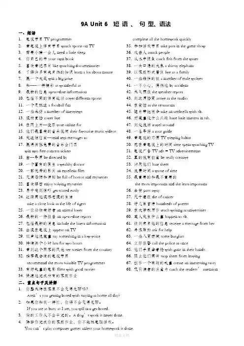 最新译林牛津英语9AUnit6短语、句型、语法