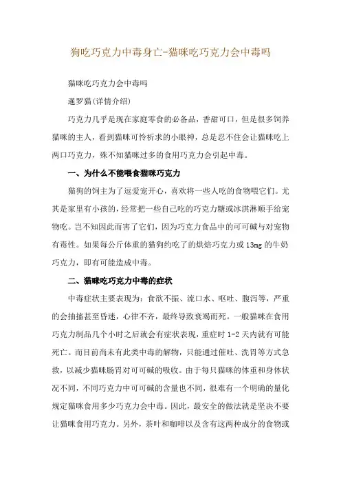 狗吃巧克力中毒身亡-猫咪吃巧克力会中毒吗