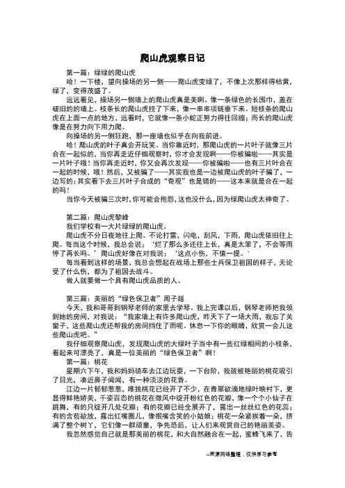 爬山虎观察日记_五年级日记