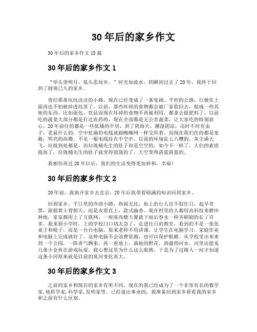 30年后的家乡作文