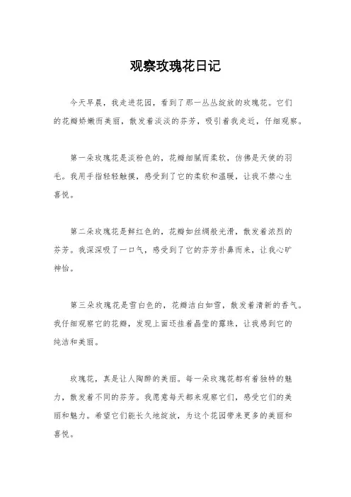 观察玫瑰花日记