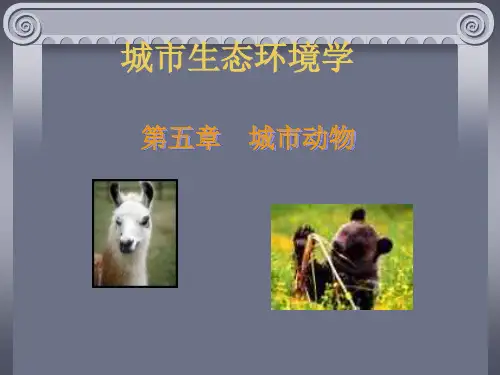 第五章 城市动物