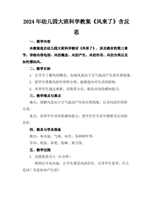 2024年幼儿园大班科学教案《风来了》含反思