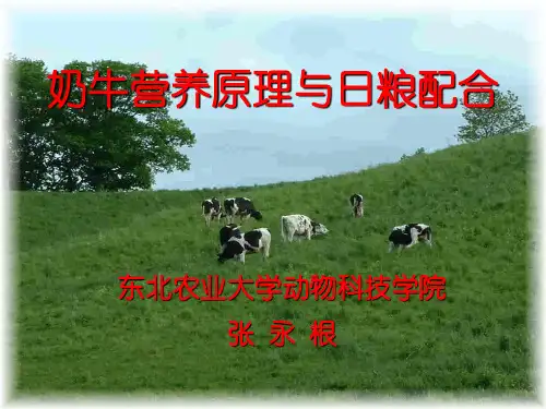 奶牛营养与日粮配合(ZHANGYONGGEN0
