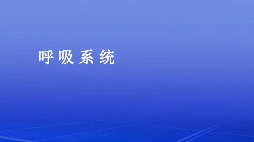 呼吸系统-总论课件
