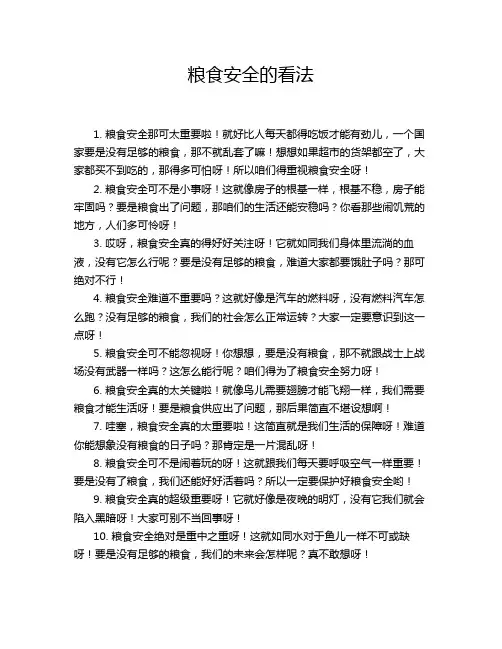 粮食安全的看法