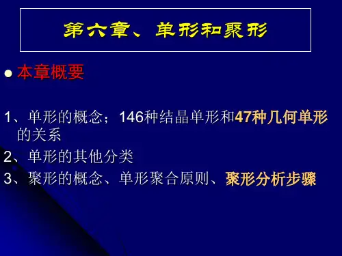 6单形与聚形