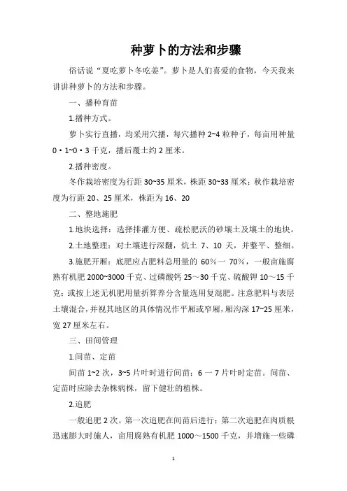 种萝卜的方法和步骤