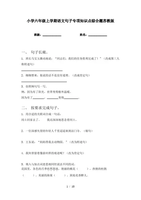 小学六年级上学期语文句子专项知识点综合题苏教版