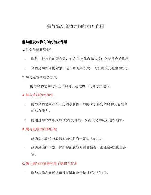 酶与酶及底物之间的相互作用