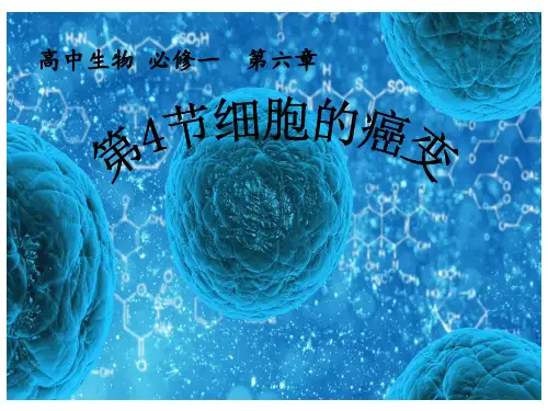 高中生物必修一课件-6.4 细胞的癌变 人教版