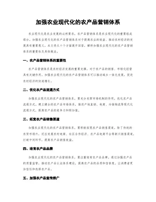 加强农业现代化的农产品营销体系