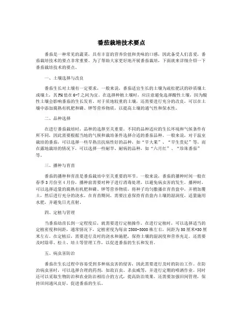 番茄栽培技术要点