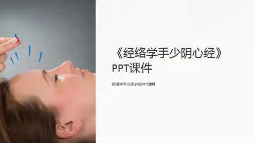 《经络学手少阴心经》课件
