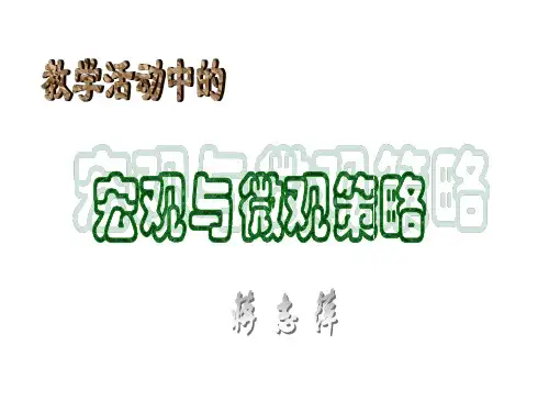 教学活动中的宏观与微观策略