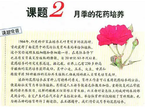 3.2月季的花药培养(经典)PPT课件