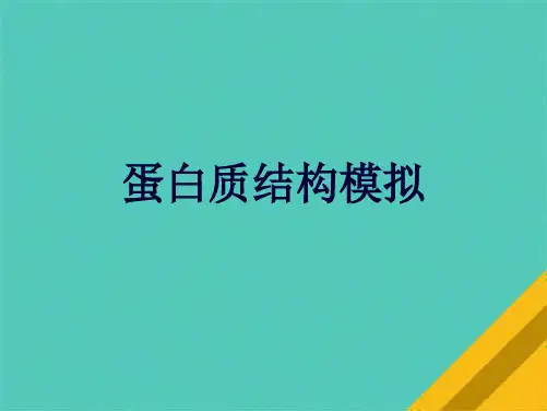 蛋白质结构模拟(共10张PPT)