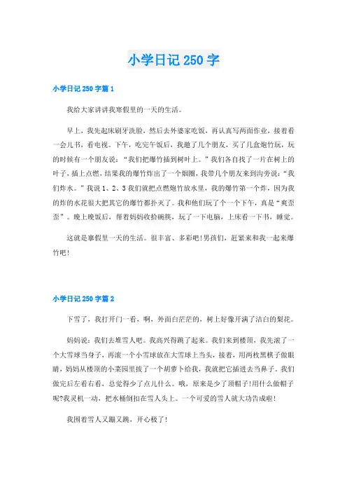 小学日记250字