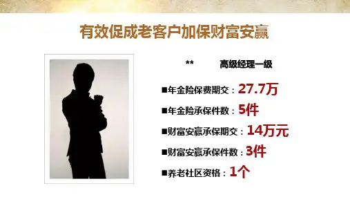 分享有效促成老有效促成老客户来源销售流程故事分享金句13页