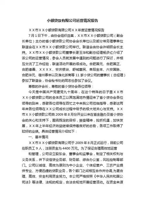 小额贷款有限公司运营情况报告