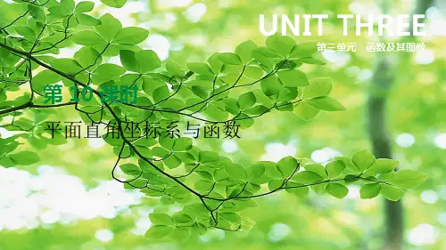 中考数学总复习 第三单元 函数及其图像 第10课时 平面直角坐标系与函数课件
