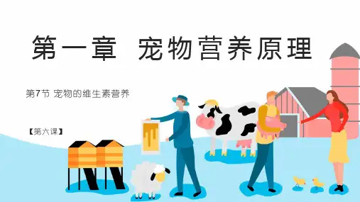 宠物营养与食品 第一章第7节 维生素营养
