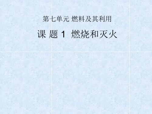 燃烧和灭火(说课)PPT课件