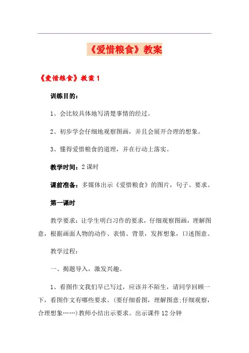 《爱惜粮食》教案