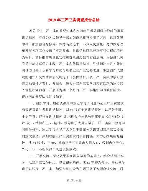 2019年三严三实调查报告总结