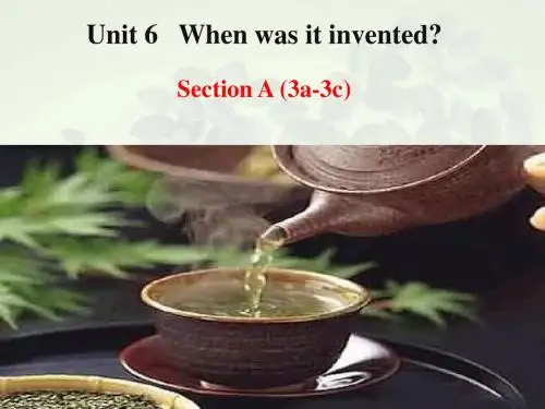 九年级英语Unit 6 Section A(3a-3c)