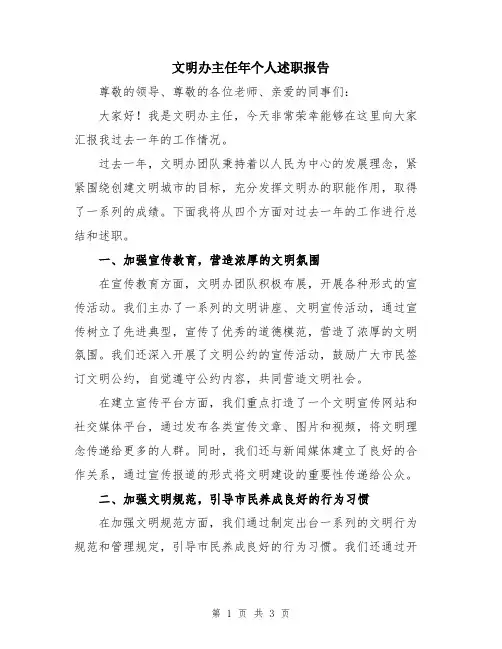 文明办主任年个人述职报告