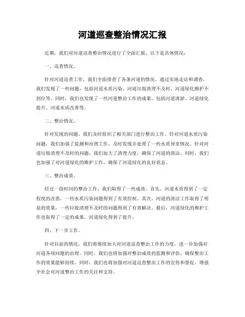 河道巡查整治情况汇报