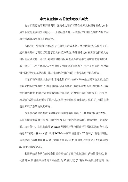 难处理金钼矿石的微生物浸出研究