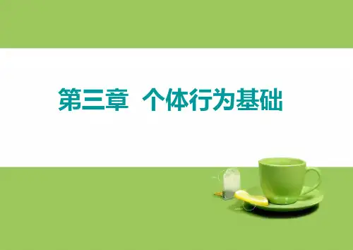 组织行为学 第三章 个体行为基础