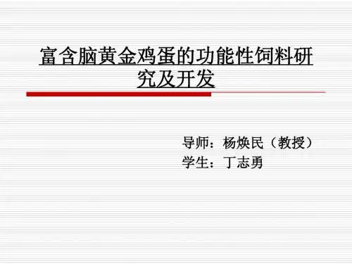 丁志勇开题报告