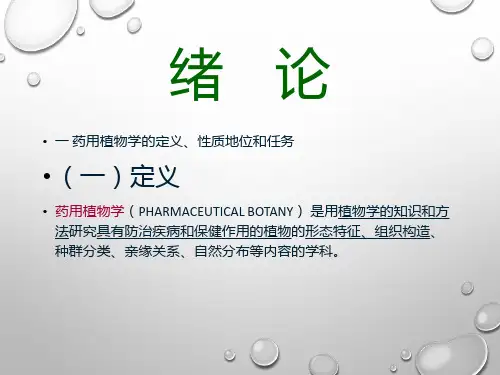 中华人民共和国药典PPT课件