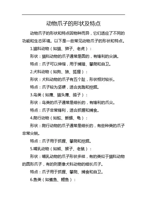动物爪子的形状及特点