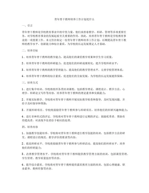 青年骨干教师培养工作计划是什么