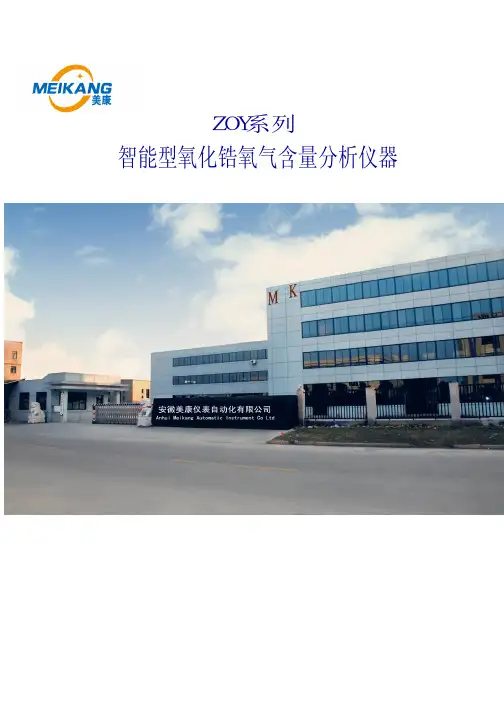 智能型氧化锆氧气含量分析仪器 ZOY系列 使用说明书