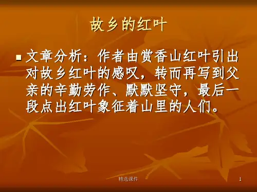 《故乡的红叶》阅读答案及解析