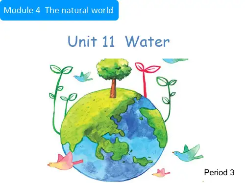沪教牛津版(深圳用)英语五年级上册Module 4 Unit 11 Water课件