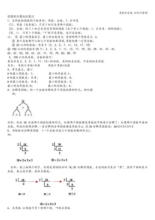 质数和合数_知识点整理