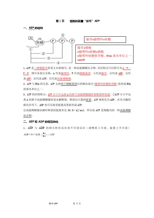 高中生物一轮复习(或同步)知识点：ATP和酶